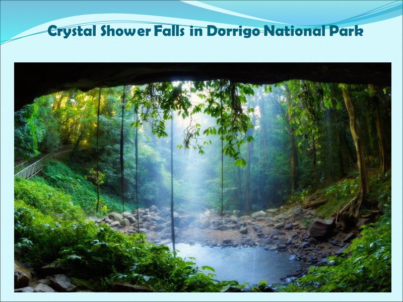 Crystal Shower Falls in Dorrigo National Park